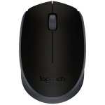 SOURIS LOGITECH M171