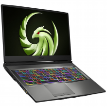 Pc Portable Gamer MSI ALPHA 17 B5EEK-033XFR R5-5600H,16G, RX 6600M, Ecran 17.3"FHD 144Hz