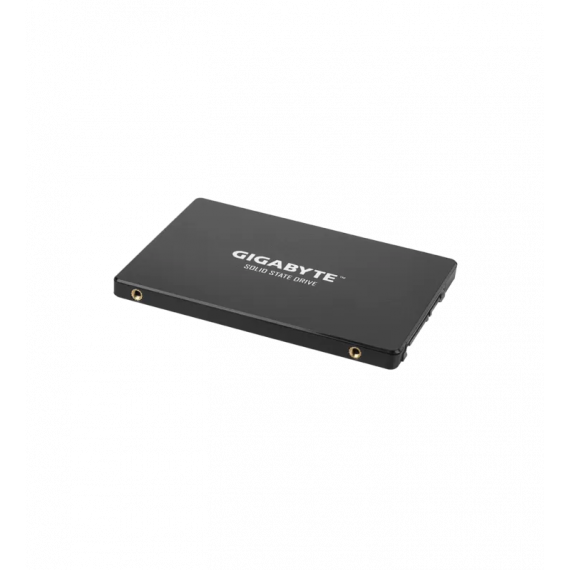 DISQUE GIGABYTE - SSD - 256 GO