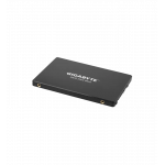 DISQUE GIGABYTE - SSD - 256 GO