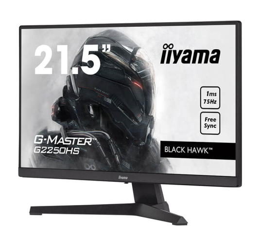 Ecran Gamer IIYAMA G-MASTER G2250HS-B1 - ÉCRAN LED - FHD - 22"