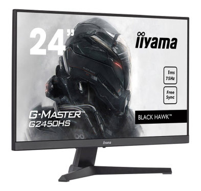 Ecran Gamer IIYAMA G-MASTER G2450HS-B1 - ÉCRAN LED - FHD - 24"