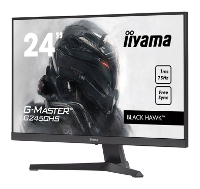 Ecran Gamer IIYAMA G-MASTER G2450HS-B1