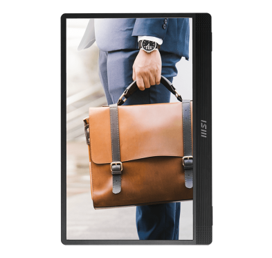 Ecran MSI PRO MP161 - ÉCRAN LED - FHD - 16"