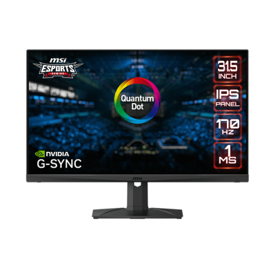 Ecran Gamer MSI MAG321QR QD - LED WQHD 32"