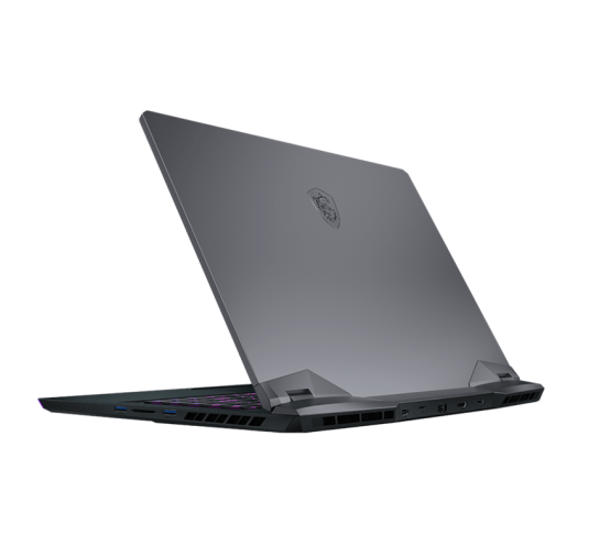 Pc Portable Gamer MSI GE66 RAIDER 11UH-213FR