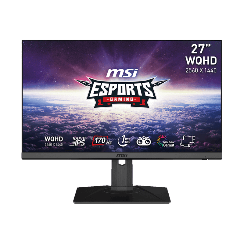 Ecran Gamer MSI G272QPF - LED WQHD 27"
