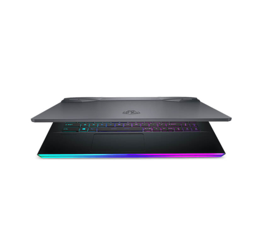 Pc Gamer reconditionné - MSI GE66 RAIDER