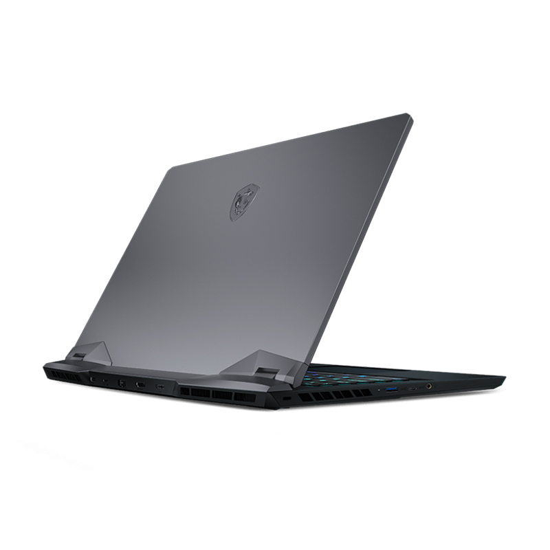 Pc Portable Gamer reconditionné - MSI GE66 RAIDER 10UE-215FR, i7-10é, 32Go, RTX3060, 15.6"FHD