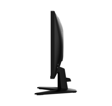 Ecran Gaming Msi MAG 255XF, IPS, 0.5ms, 25" FHD @300Hz