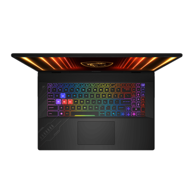 Pc Portable MSI Crosshair A17 HX D8WGKG-006FR