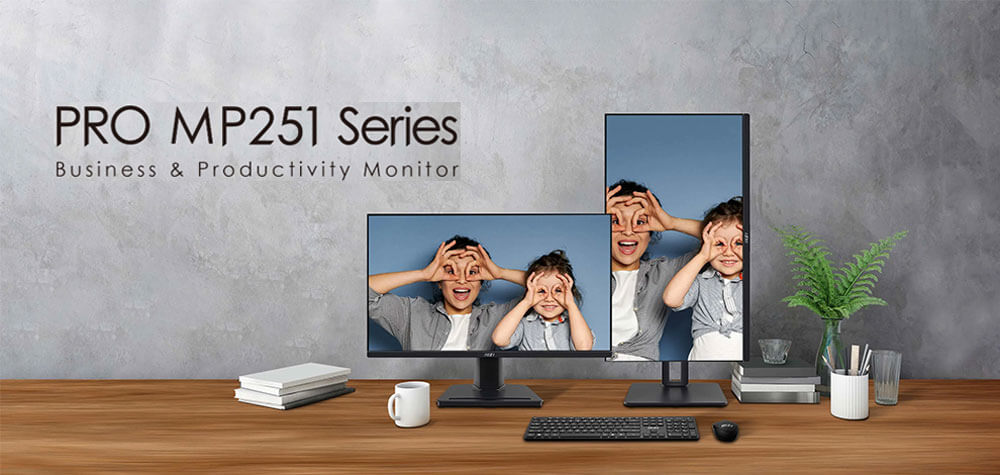 Ecran Msi Pro MP251
