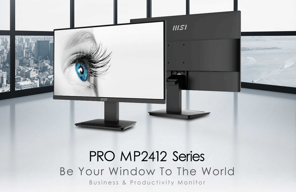 ecran MSI PRO MP2412