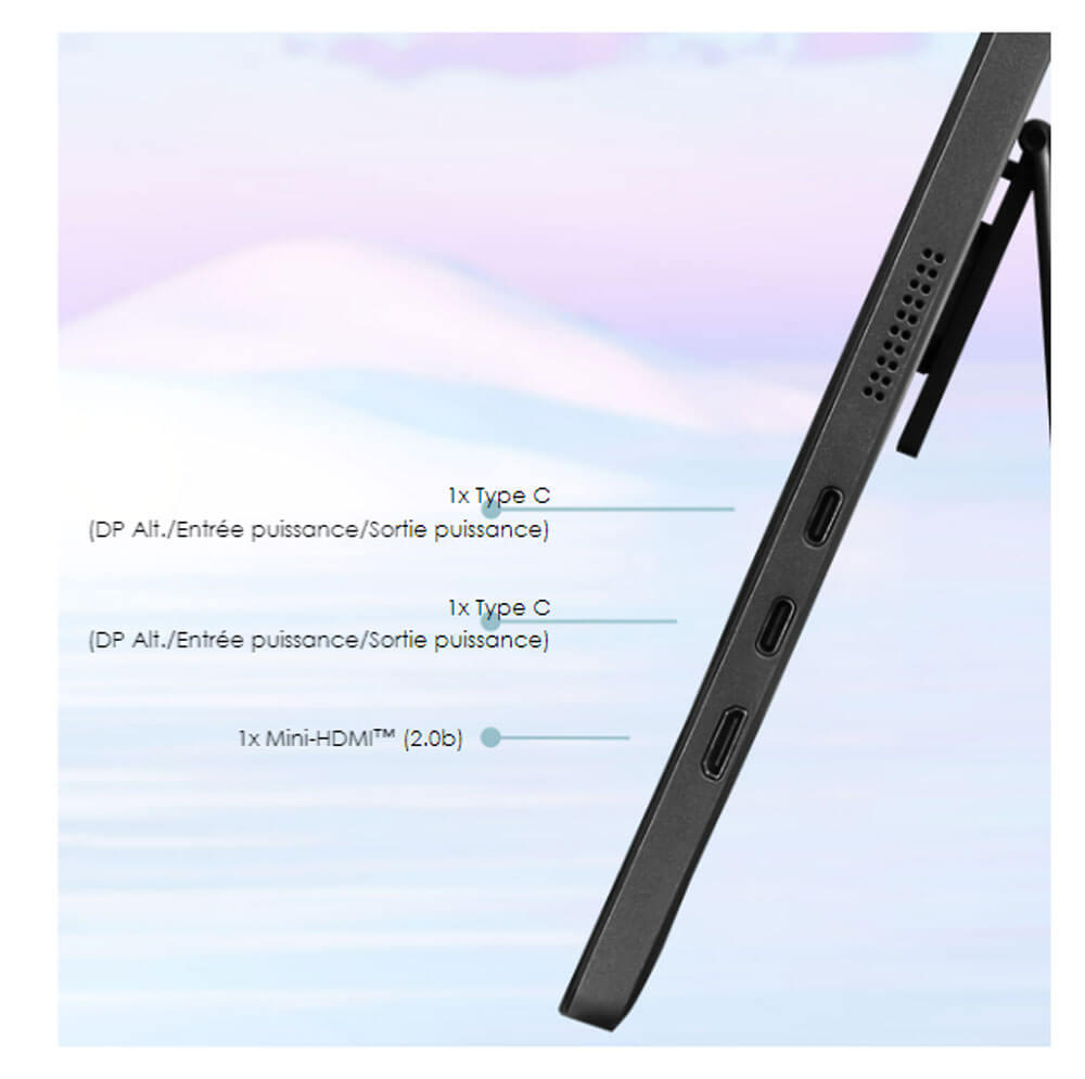 Connectivité | PRO MP161 E2