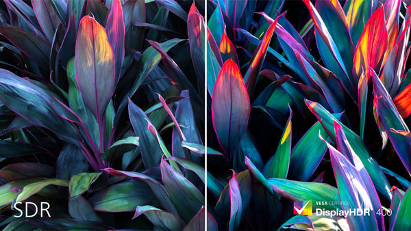 Ecran incurvé  PHILIPS 499P9H/0 |DisplayHDR 400
