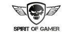 Spirit of gamer